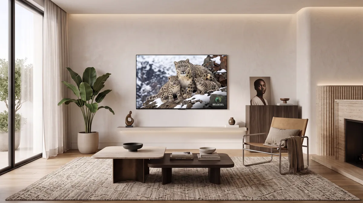 OLED ekran